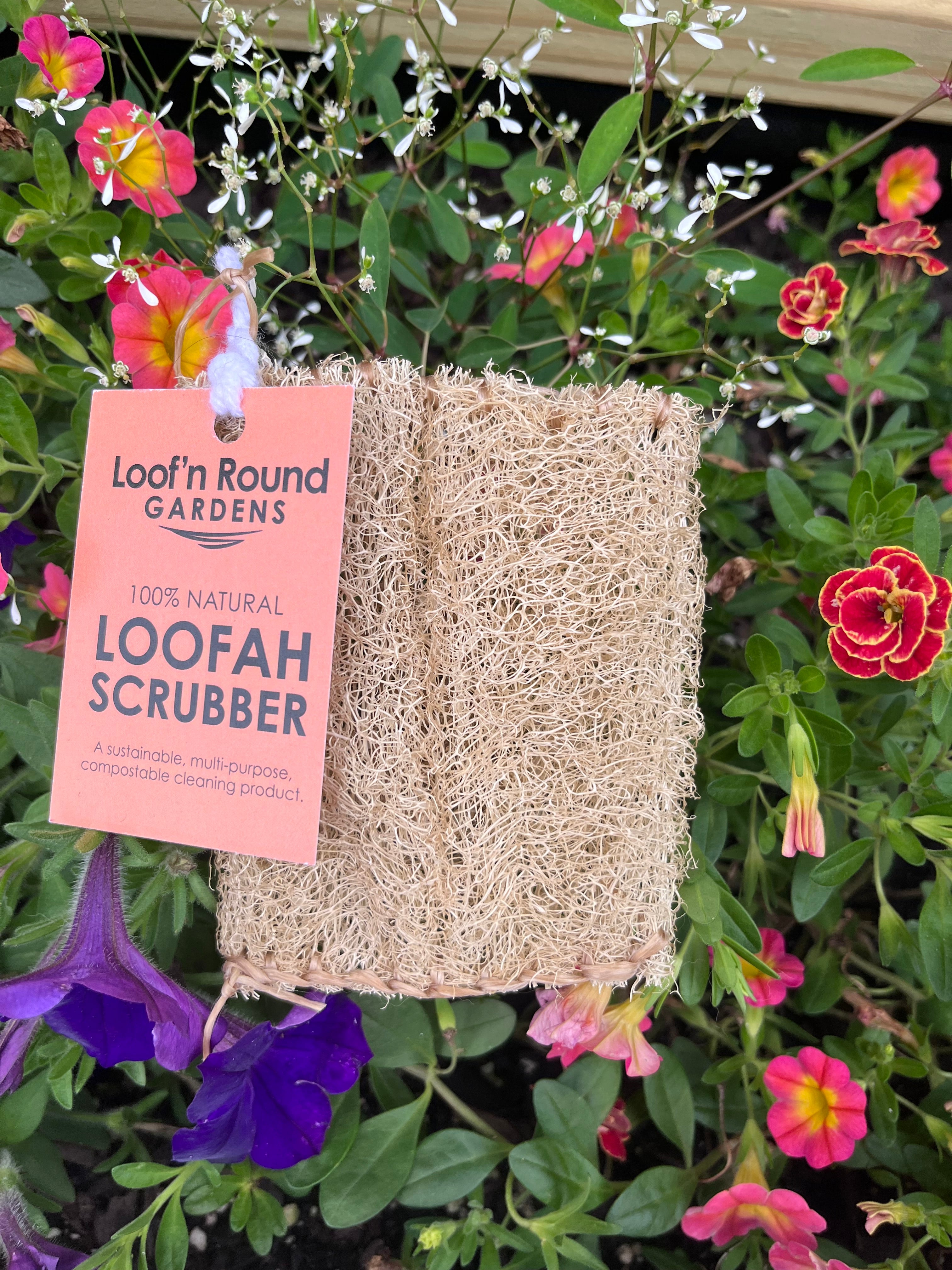 Loofah Scrub Pad – Frequency Fillery
