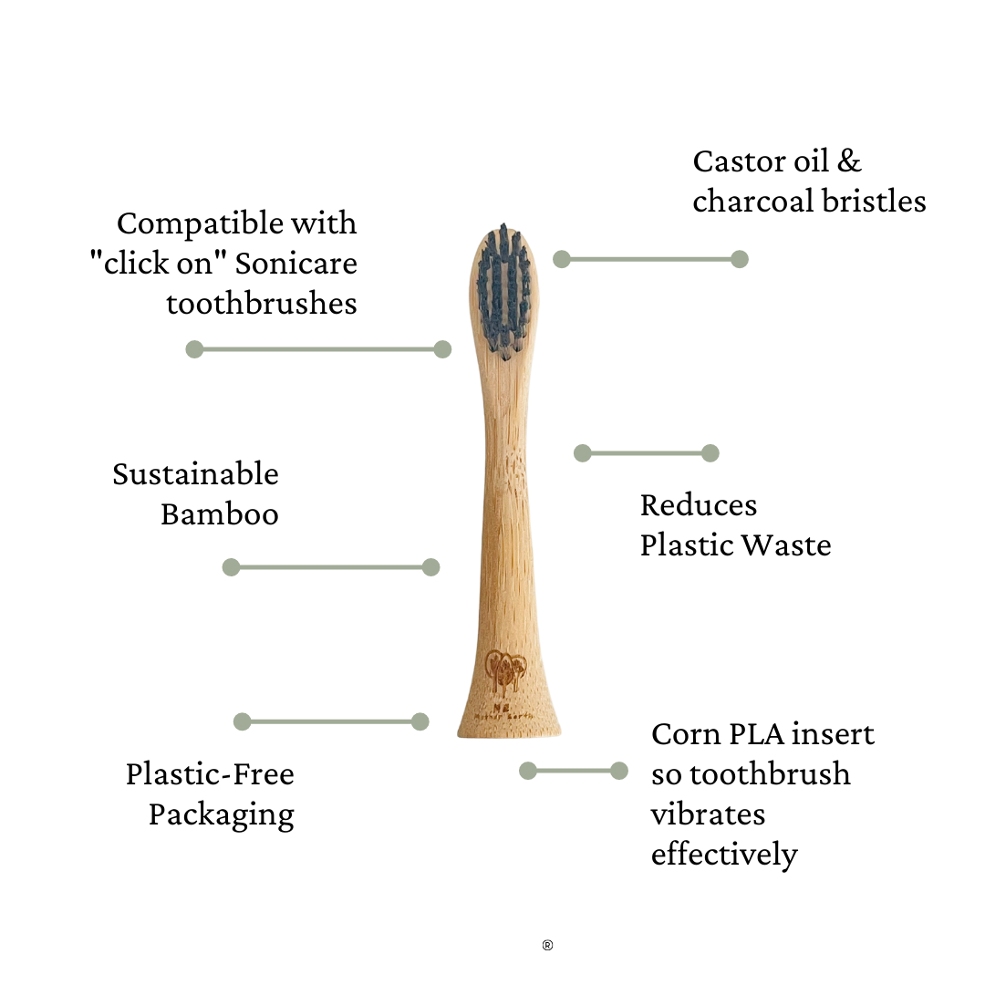 Bamboo Electric Toothbrush Head
